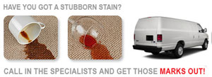 professional carpet cleaners